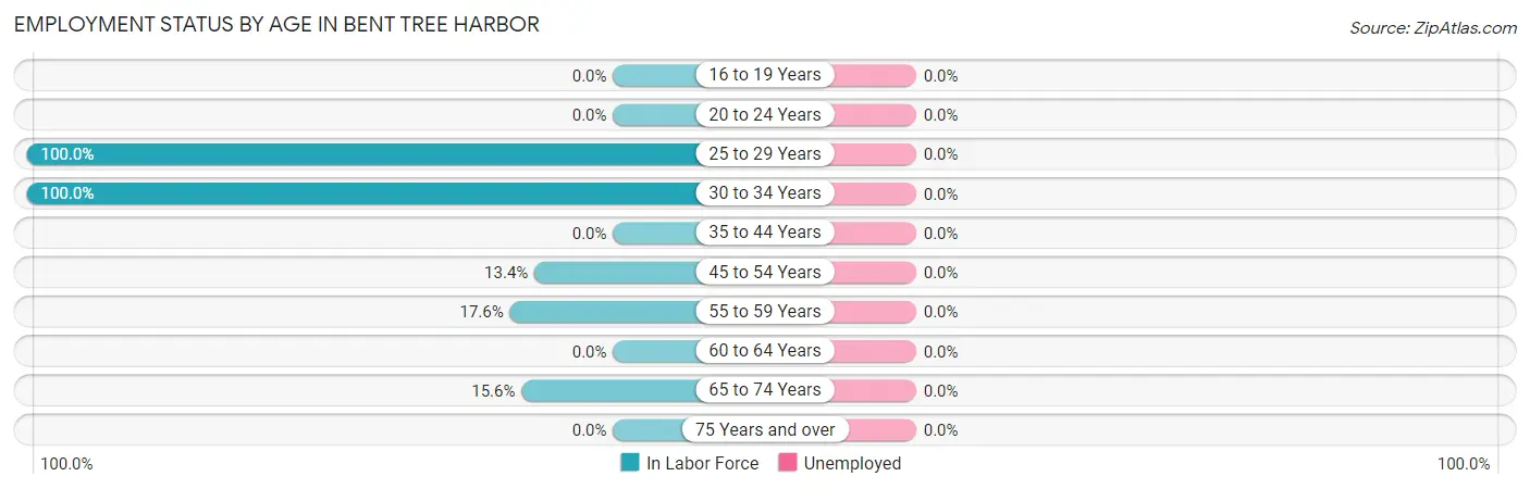 Employment Status by Age in Bent Tree Harbor
