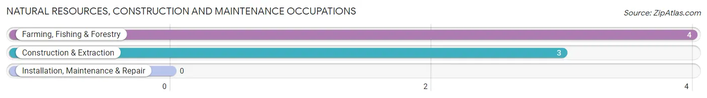 Natural Resources, Construction and Maintenance Occupations in Berger