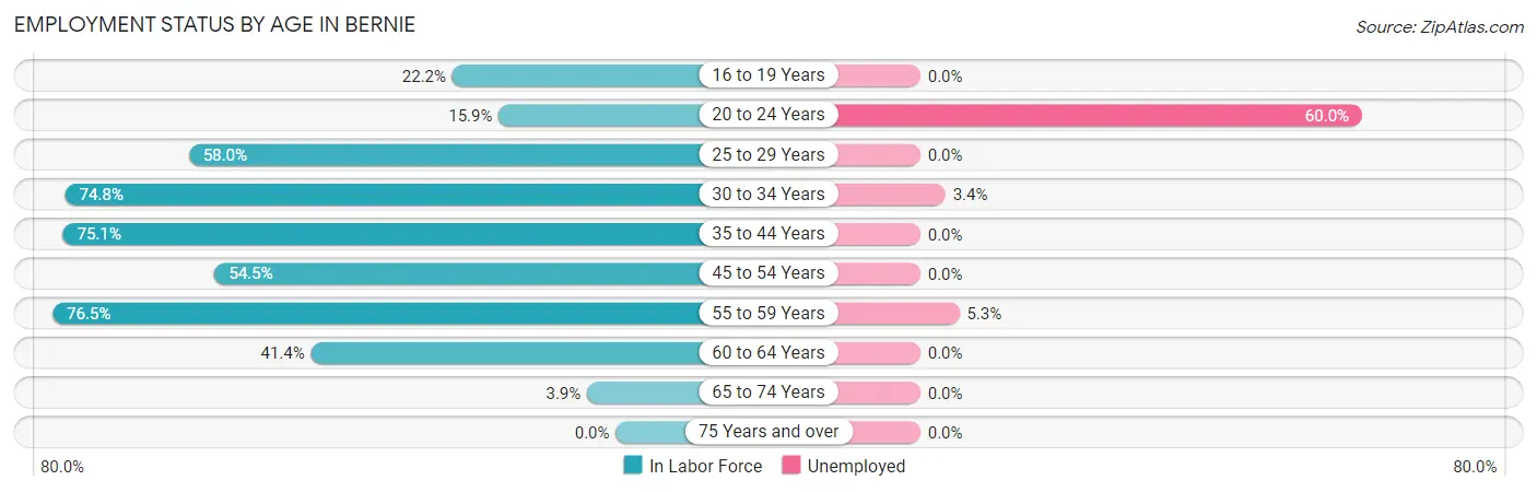 Employment Status by Age in Bernie