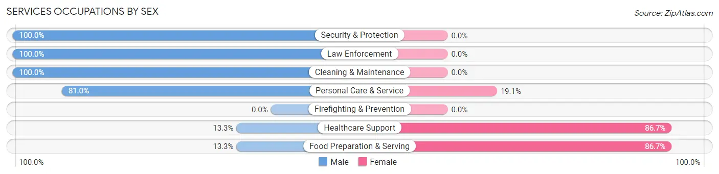 Services Occupations by Sex in Bernie