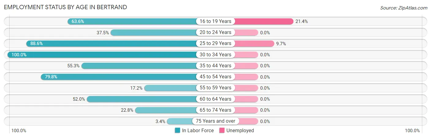 Employment Status by Age in Bertrand