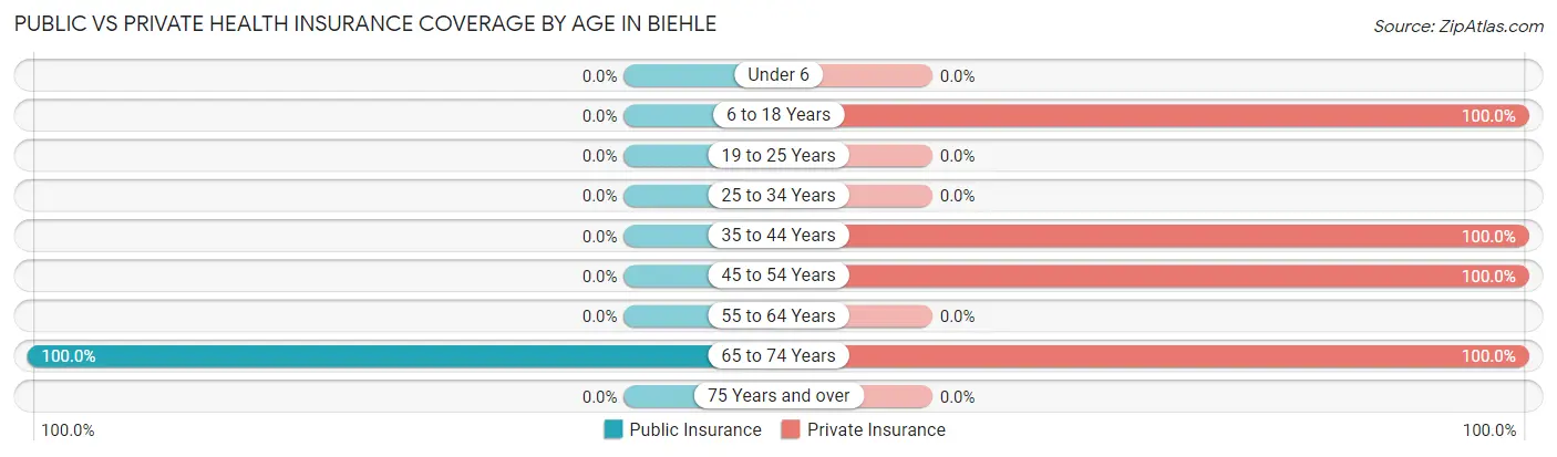 Public vs Private Health Insurance Coverage by Age in Biehle
