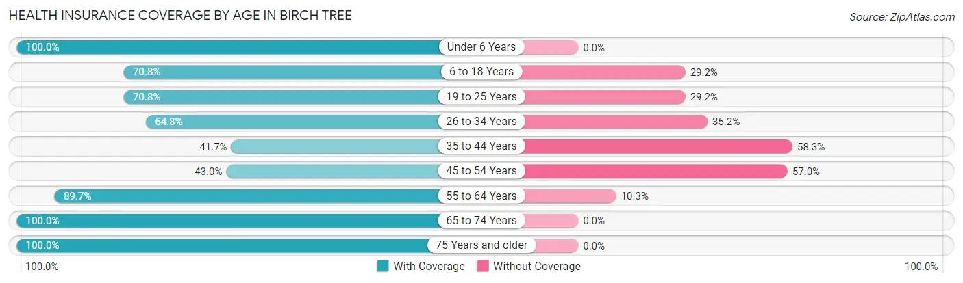 Health Insurance Coverage by Age in Birch Tree