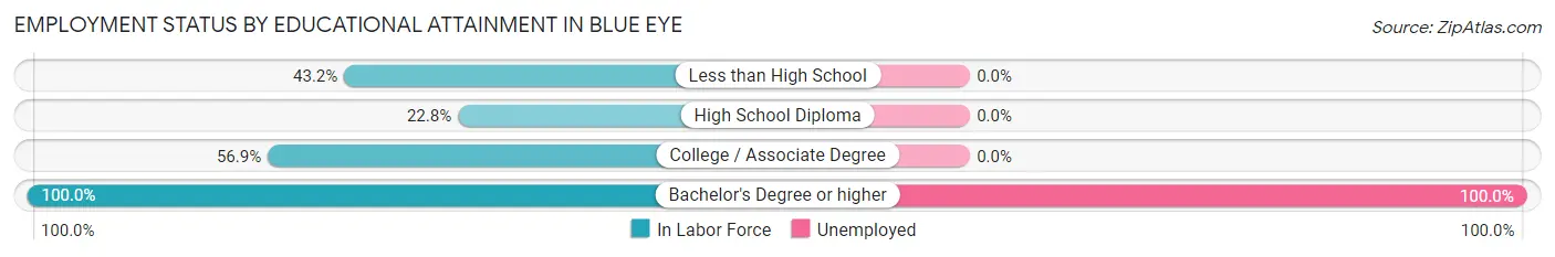 Employment Status by Educational Attainment in Blue Eye