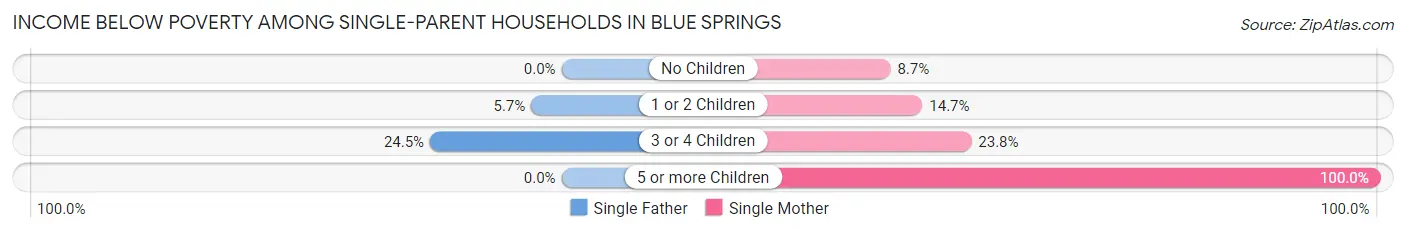 Income Below Poverty Among Single-Parent Households in Blue Springs