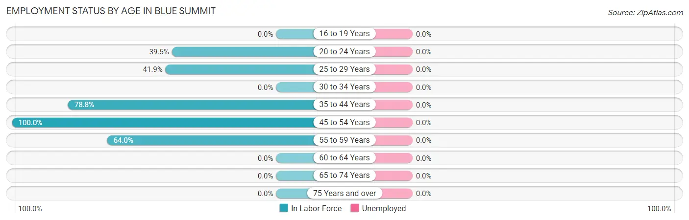Employment Status by Age in Blue Summit