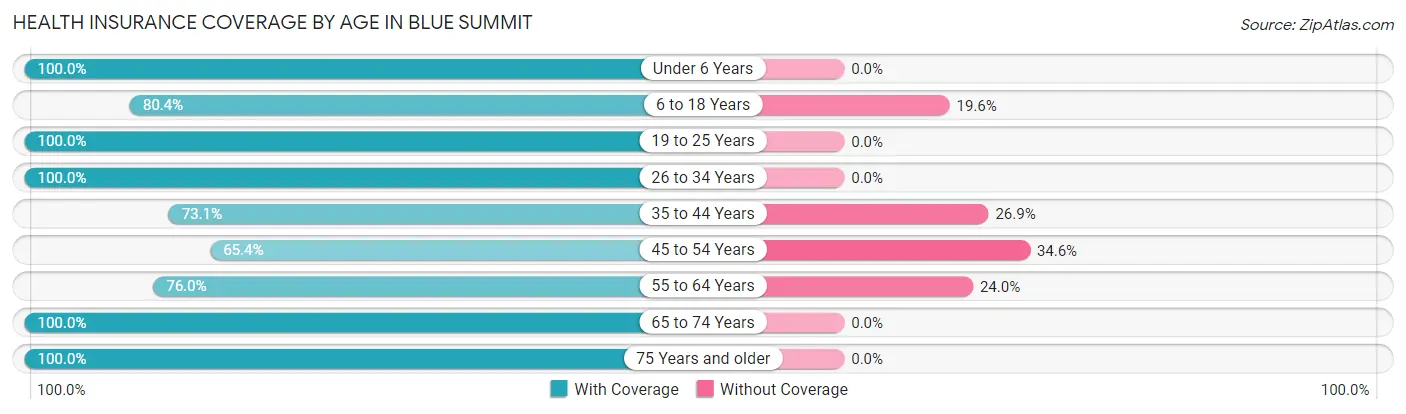 Health Insurance Coverage by Age in Blue Summit