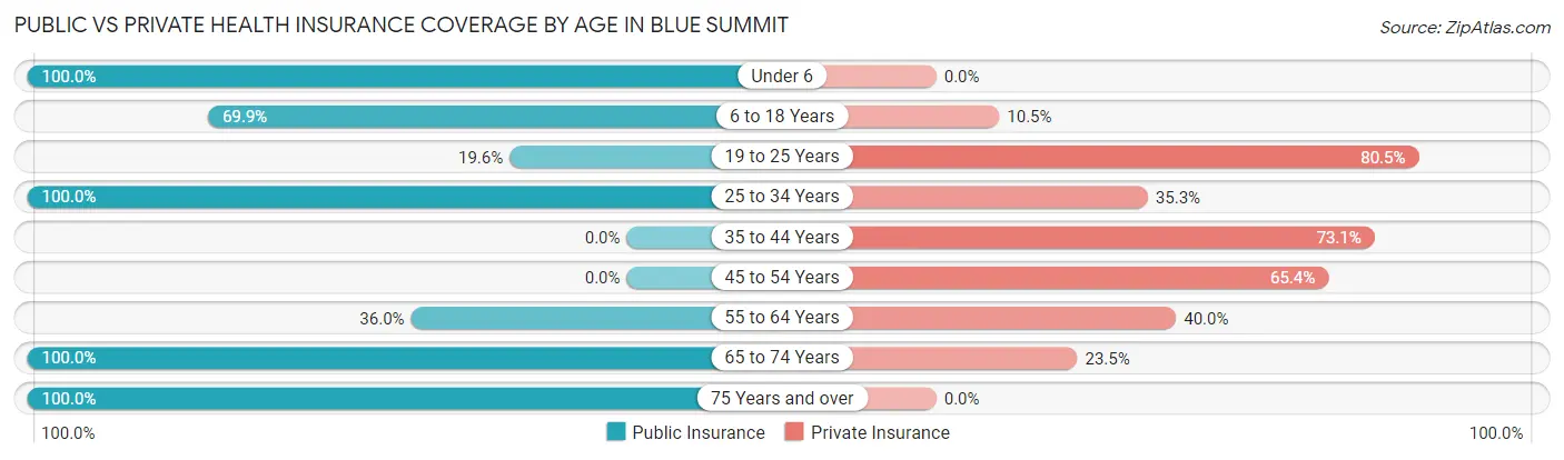 Public vs Private Health Insurance Coverage by Age in Blue Summit