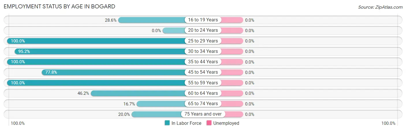 Employment Status by Age in Bogard