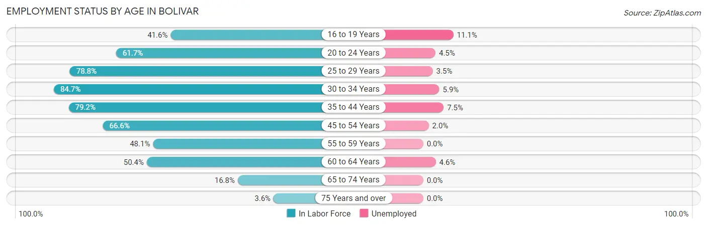 Employment Status by Age in Bolivar