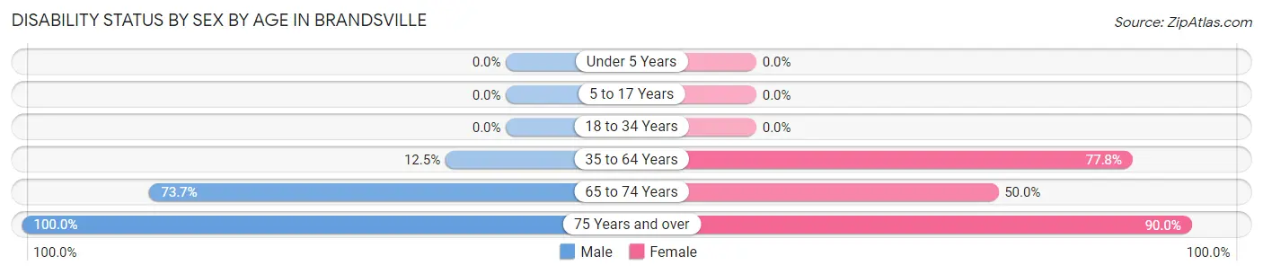 Disability Status by Sex by Age in Brandsville