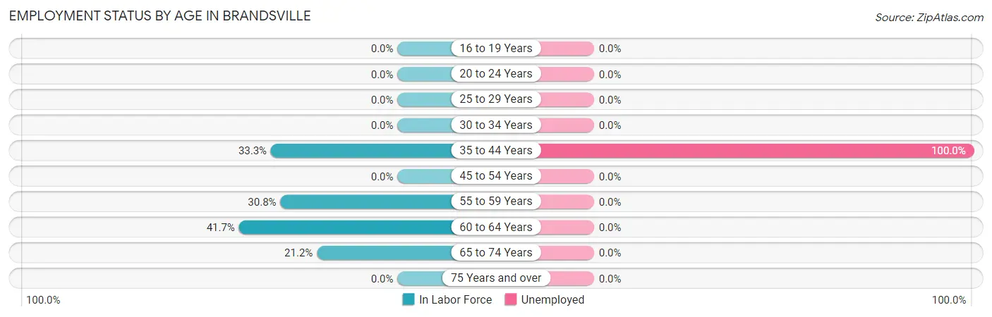 Employment Status by Age in Brandsville