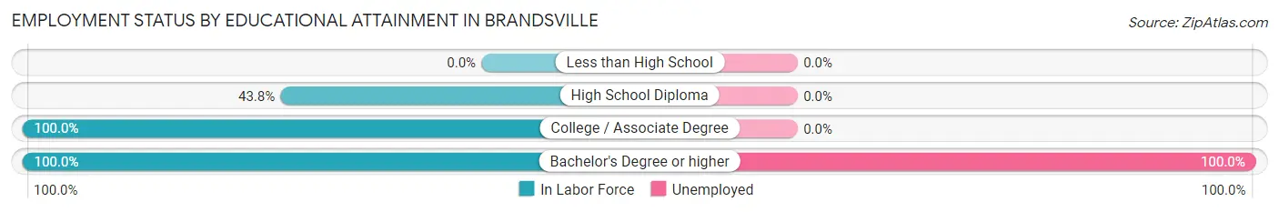 Employment Status by Educational Attainment in Brandsville