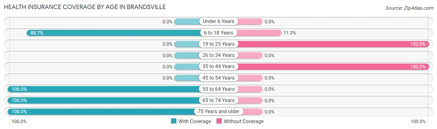 Health Insurance Coverage by Age in Brandsville