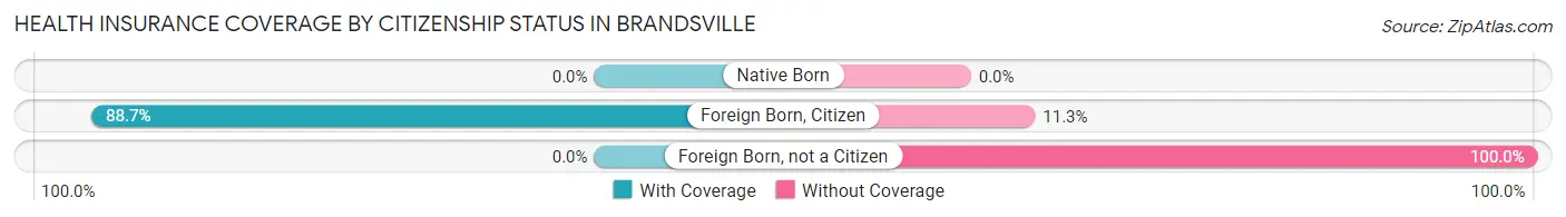 Health Insurance Coverage by Citizenship Status in Brandsville