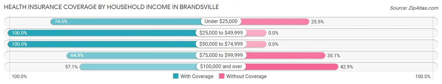 Health Insurance Coverage by Household Income in Brandsville