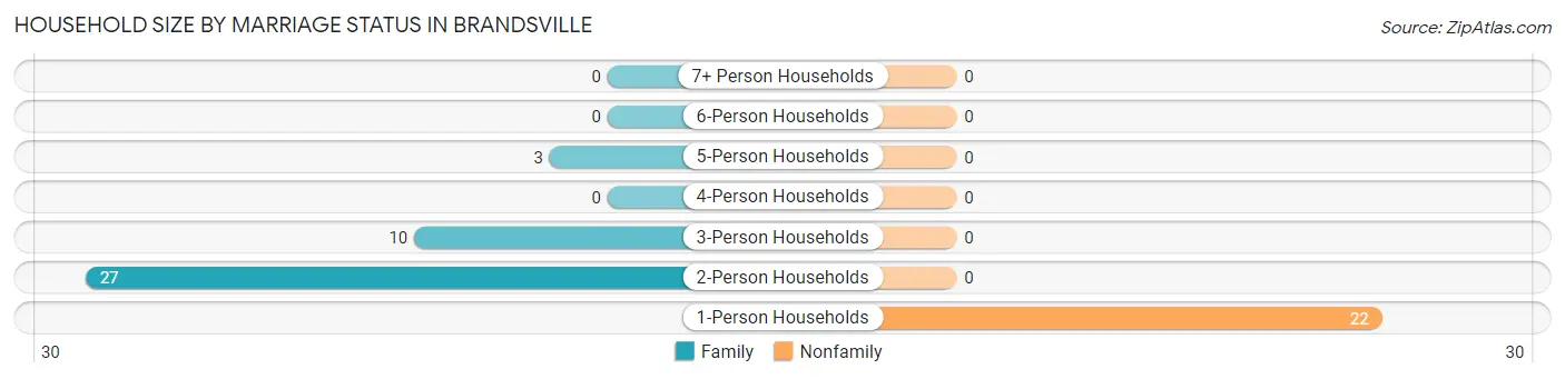 Household Size by Marriage Status in Brandsville