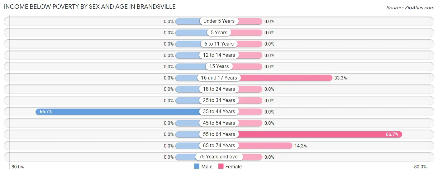 Income Below Poverty by Sex and Age in Brandsville