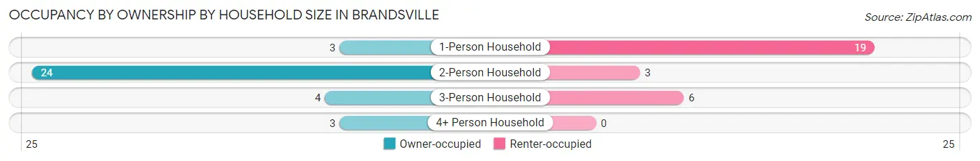 Occupancy by Ownership by Household Size in Brandsville