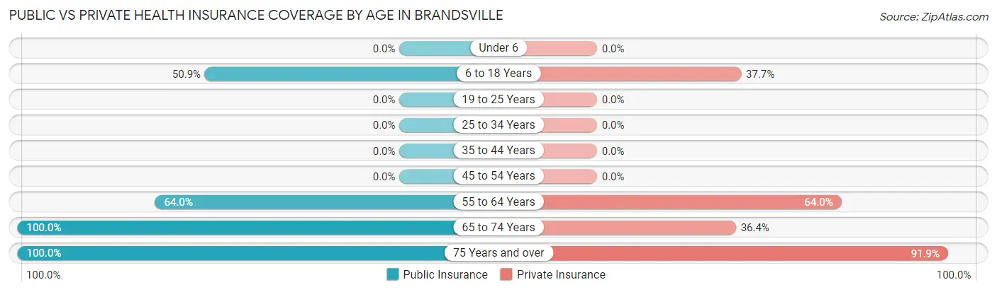 Public vs Private Health Insurance Coverage by Age in Brandsville