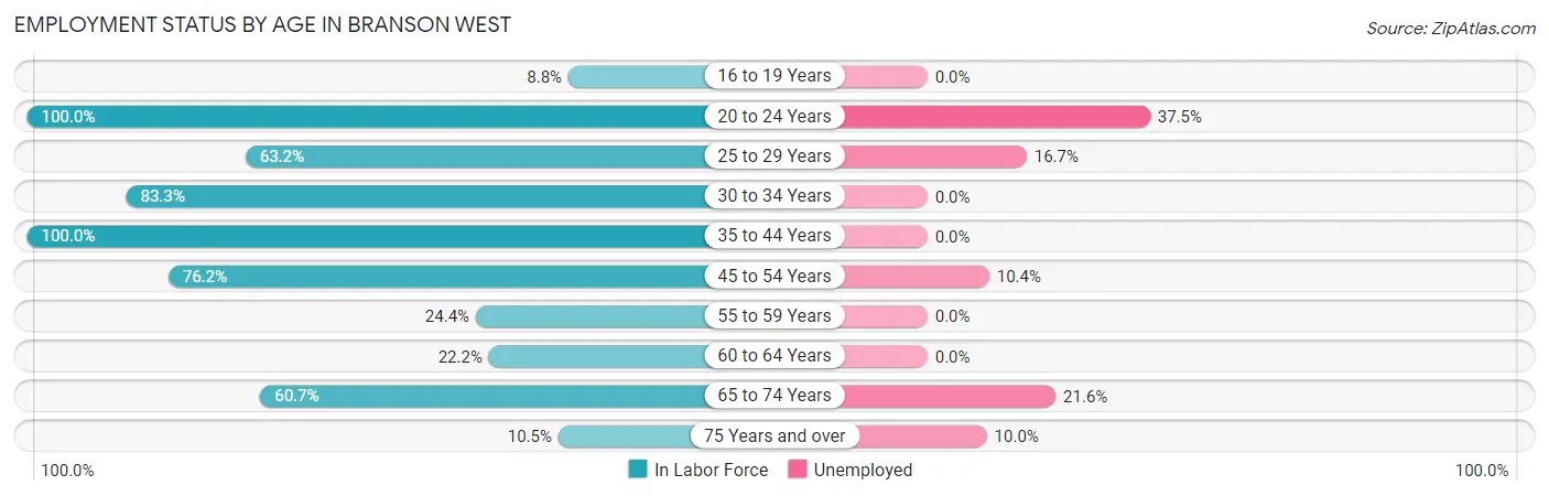 Employment Status by Age in Branson West