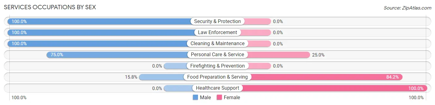 Services Occupations by Sex in Branson West