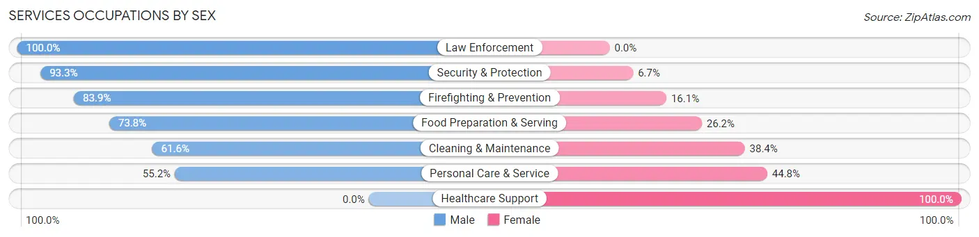 Services Occupations by Sex in Branson