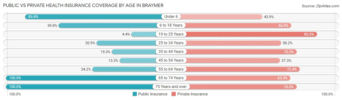 Public vs Private Health Insurance Coverage by Age in Braymer