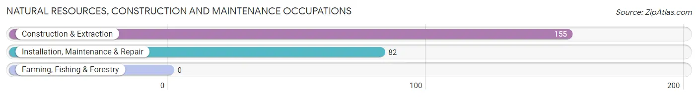 Natural Resources, Construction and Maintenance Occupations in Breckenridge Hills