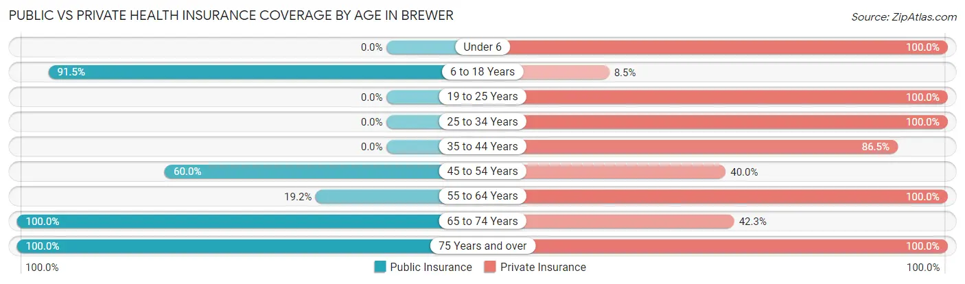 Public vs Private Health Insurance Coverage by Age in Brewer