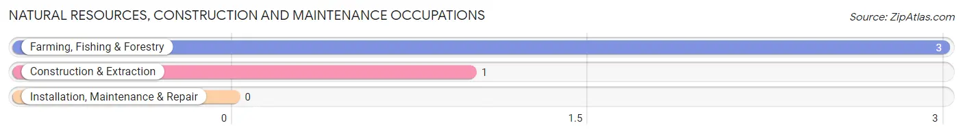 Natural Resources, Construction and Maintenance Occupations in Brimson