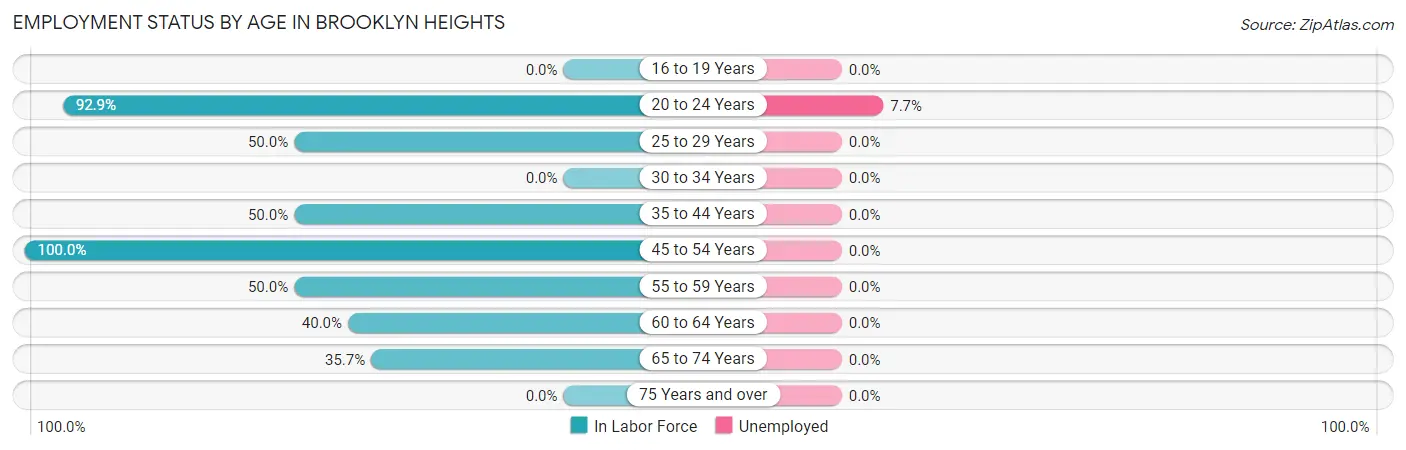 Employment Status by Age in Brooklyn Heights