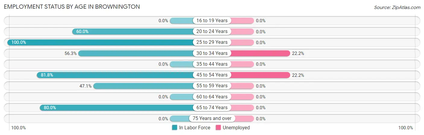 Employment Status by Age in Brownington