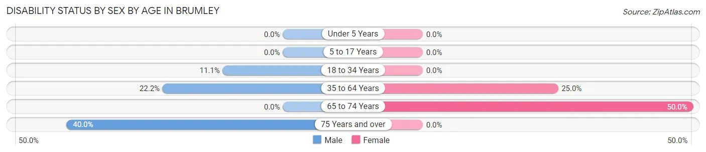 Disability Status by Sex by Age in Brumley