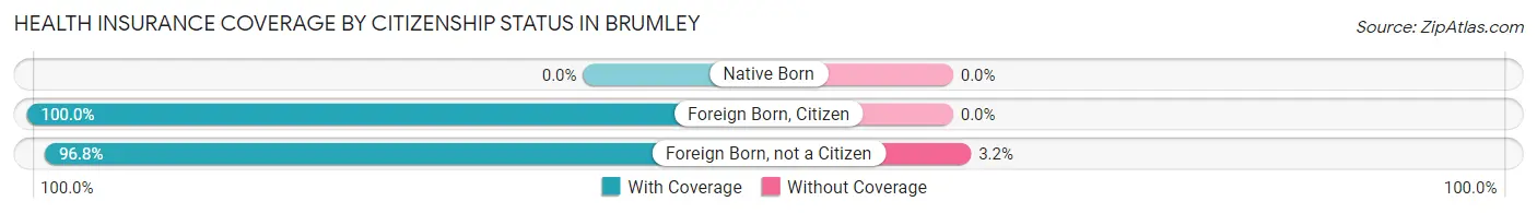 Health Insurance Coverage by Citizenship Status in Brumley