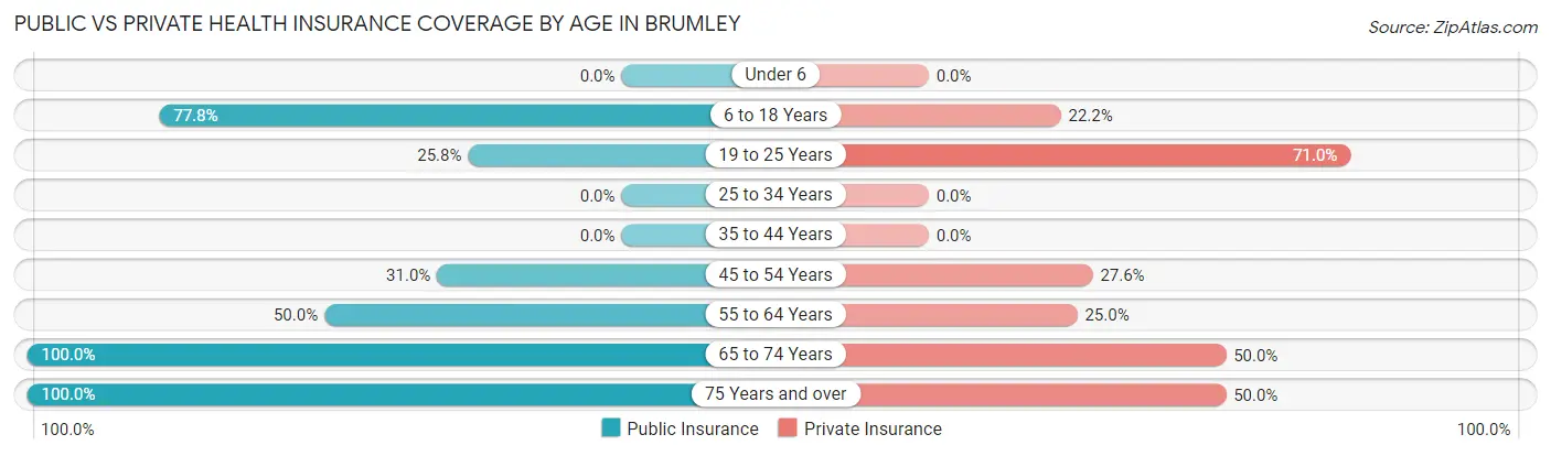 Public vs Private Health Insurance Coverage by Age in Brumley