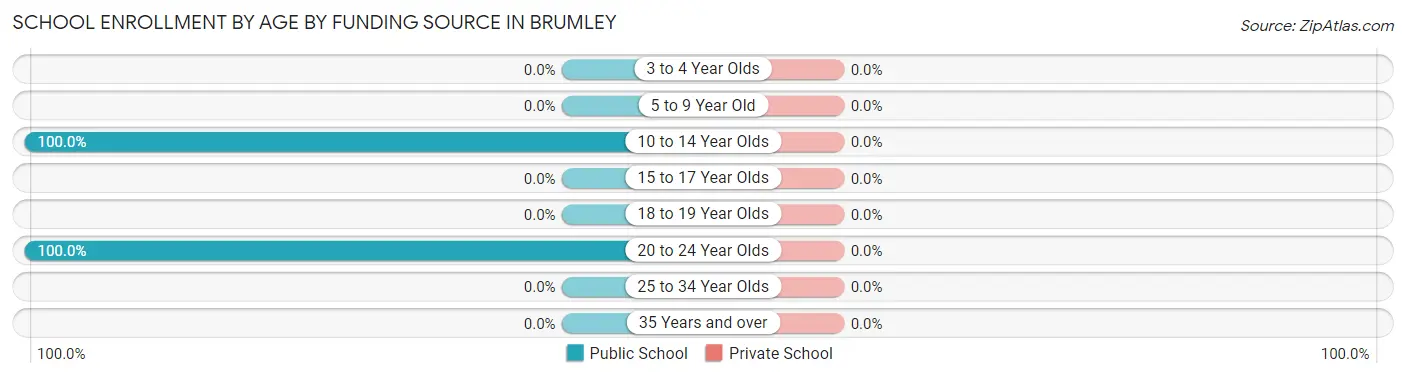 School Enrollment by Age by Funding Source in Brumley