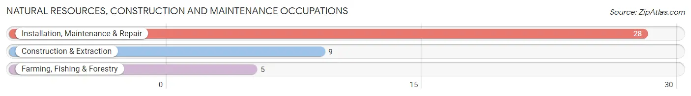 Natural Resources, Construction and Maintenance Occupations in Brunswick