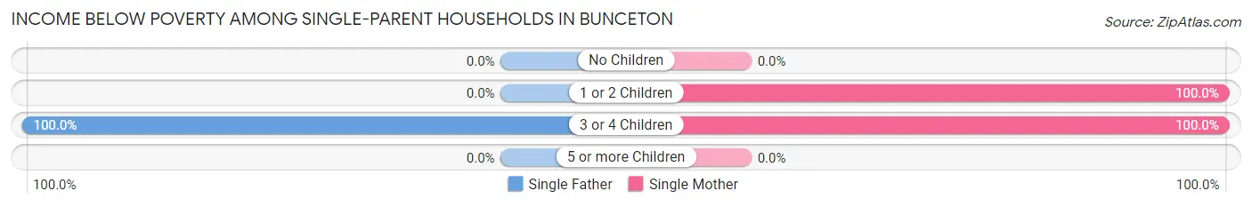 Income Below Poverty Among Single-Parent Households in Bunceton