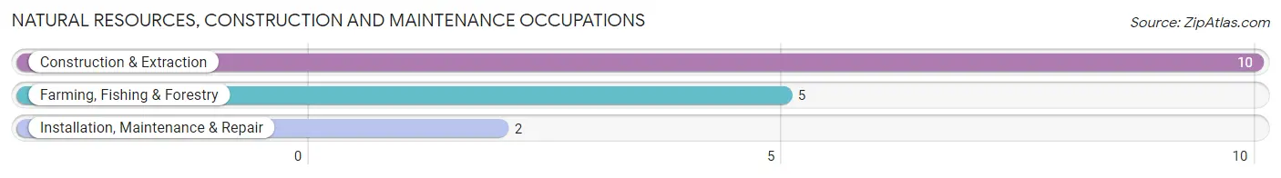 Natural Resources, Construction and Maintenance Occupations in Bunker