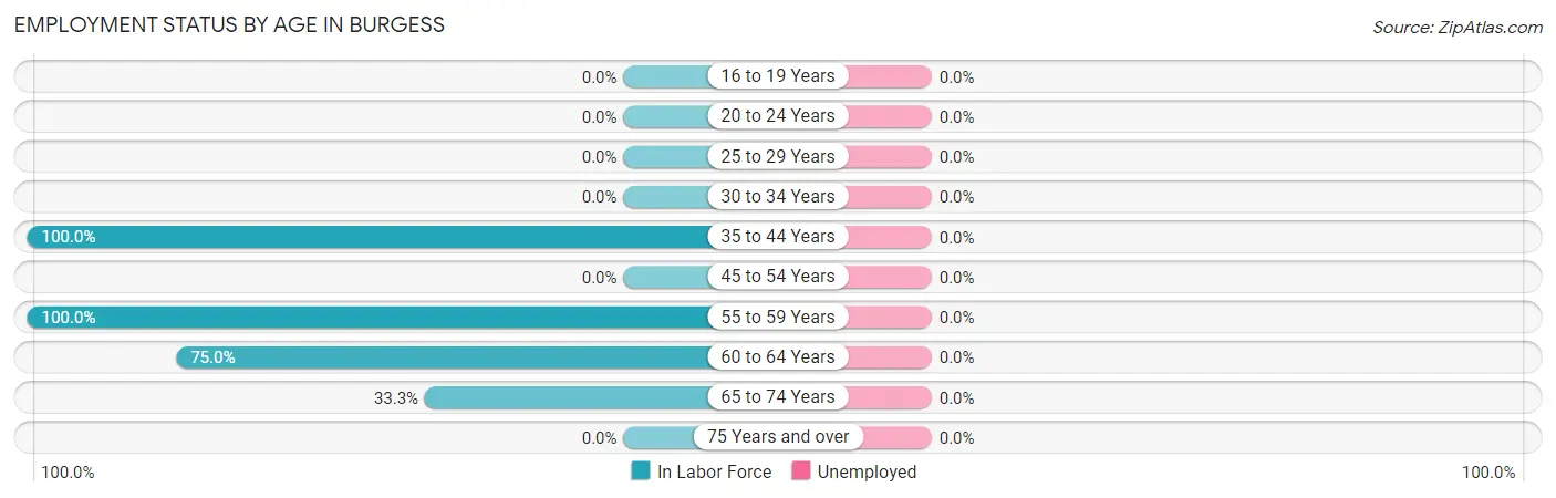 Employment Status by Age in Burgess