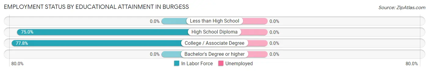 Employment Status by Educational Attainment in Burgess