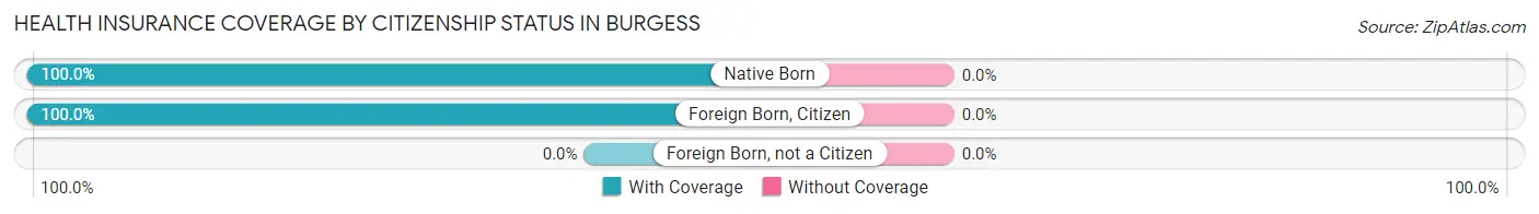 Health Insurance Coverage by Citizenship Status in Burgess