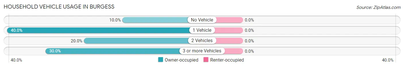 Household Vehicle Usage in Burgess