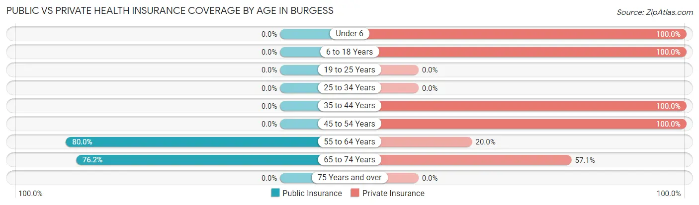 Public vs Private Health Insurance Coverage by Age in Burgess