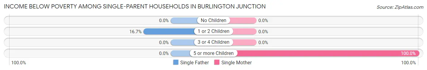 Income Below Poverty Among Single-Parent Households in Burlington Junction