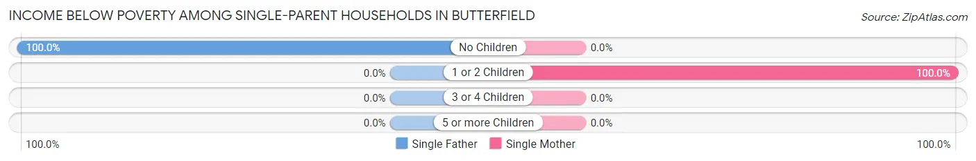 Income Below Poverty Among Single-Parent Households in Butterfield