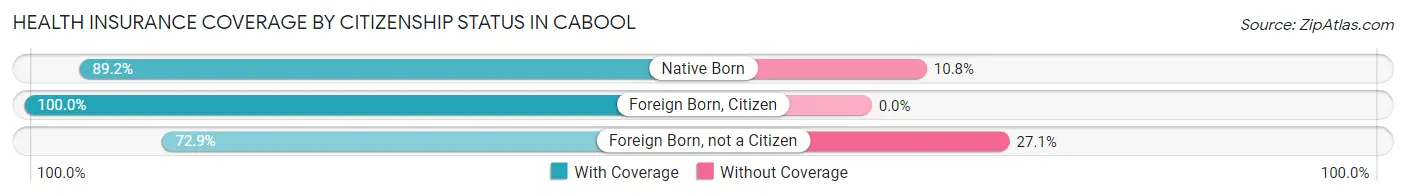 Health Insurance Coverage by Citizenship Status in Cabool