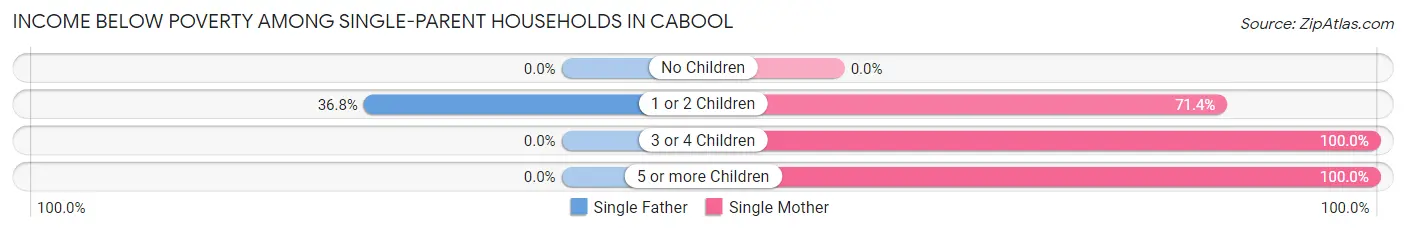 Income Below Poverty Among Single-Parent Households in Cabool