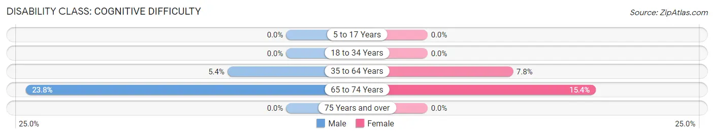 Disability in Cairo: <span>Cognitive Difficulty</span>